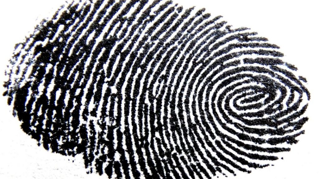 Green Bit brings fingerprint expertise to financial sector