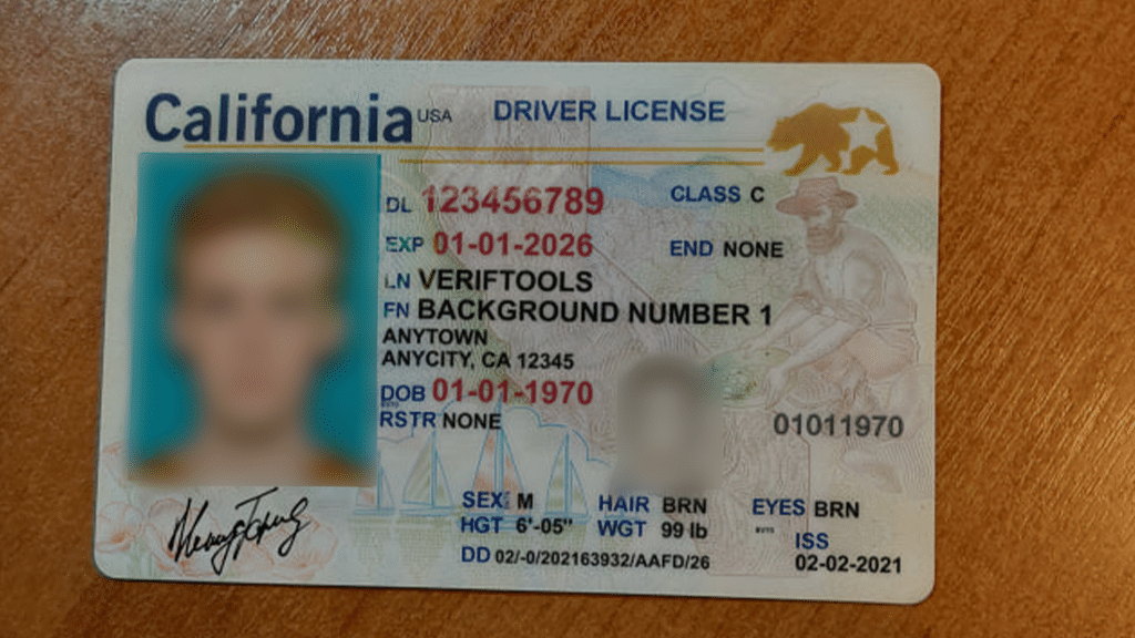 Dutch police, FBI take down fake identity document site VerifTools